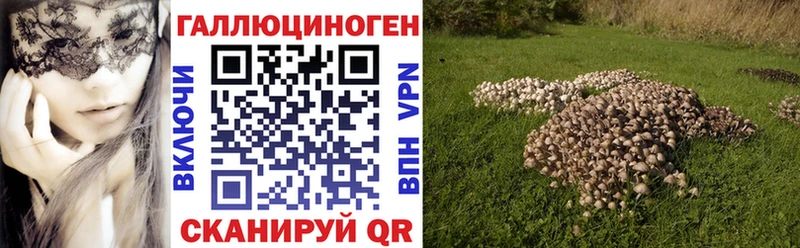 Галлюциногенные грибы мицелий Соль-Илецк