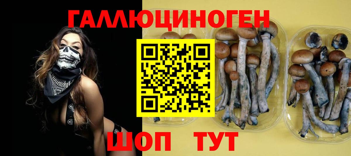 Соль-Илецк  Псилоцибиновые грибы MAGIC MUSHROOMS  Вход с VPN  Галлюциногенные грибы мухоморы 